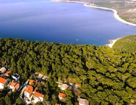 Natural landscape, Bird's eye view