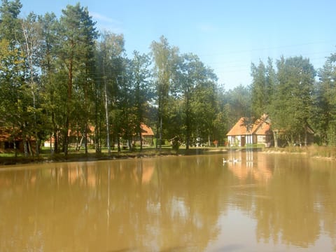 View (from property/room), Lake view