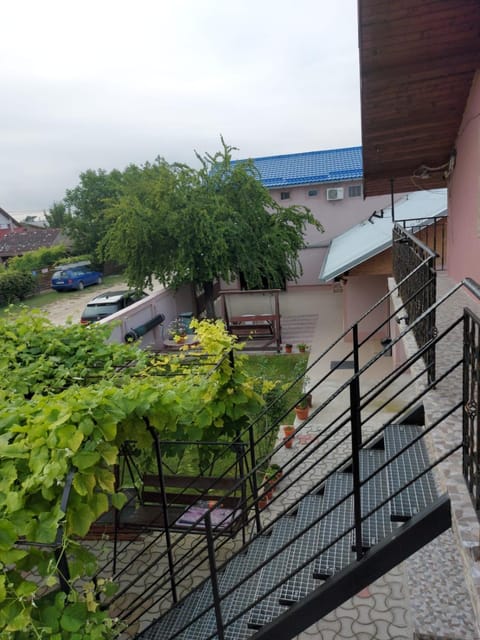 Casa LariCris Alojamiento y desayuno in Constanța County
