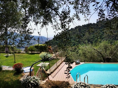 Garden, Pool view, Swimming pool