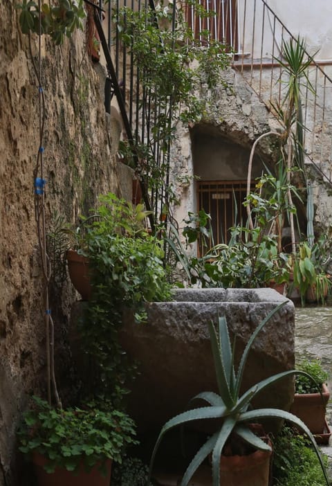 Inner courtyard view