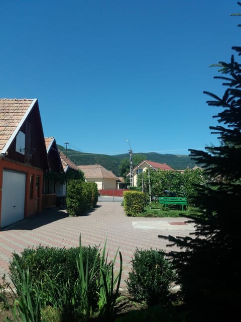 Property building, Garden, Garden view