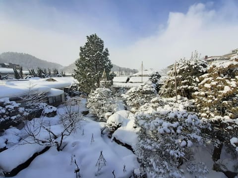 Natural landscape, Winter