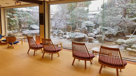 Winter, Garden, Garden view