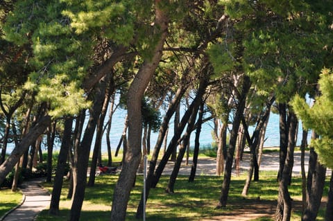 Natural landscape, On site, Garden view