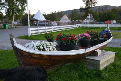 Alta River Camping Campground/ 
RV Resort in Lapland