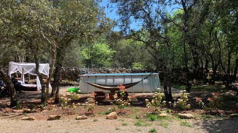 Day, Natural landscape, Garden, Garden view