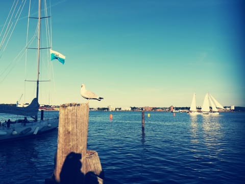 Ferienwohnung Drabinski Eigentumswohnung in Kiel