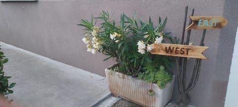 Gravitacija East Apartment in 5220 Tolmin, Slovenia