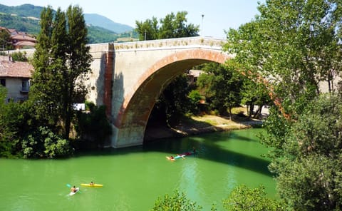 Natural landscape, Fishing, Canoeing, River view