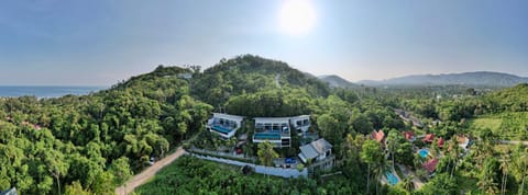 Bird's eye view, Garden