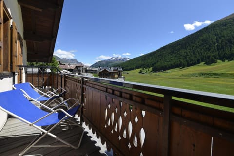Spring, Day, Natural landscape, View (from property/room), Balcony/Terrace, Mountain view