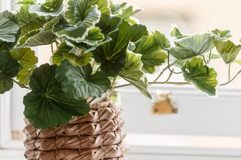 Charming 4BR House in St Helens - Sleep 8 House in St Helens