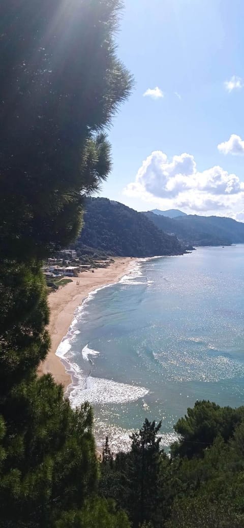 Garden, Sea view
