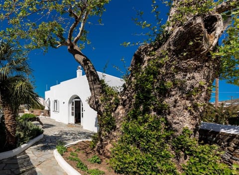 Property building, Spring, Day, Natural landscape