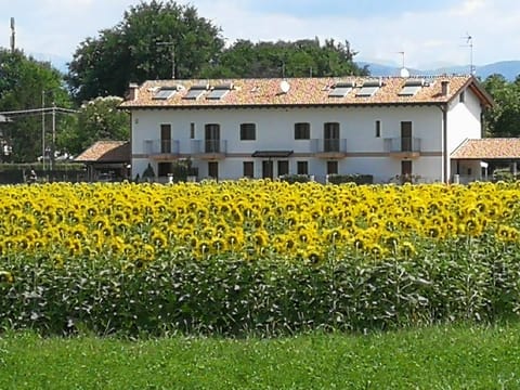 Natural landscape