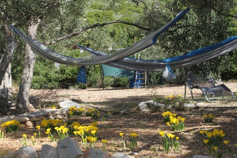 Location, children, Family