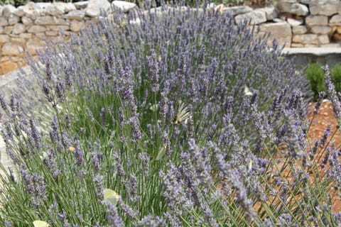 Location, children, Family