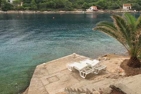 Secluded fisherman's cottage Cove Stoncica, Vis - 8894 House in Vis