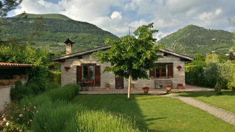 Property building, Garden view