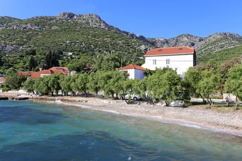 Apartments by the sea Viganj, Peljesac - 10140 Apartment in Dubrovnik-Neretva County