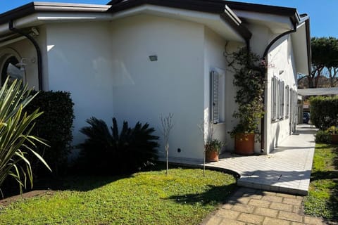Property building, Garden view