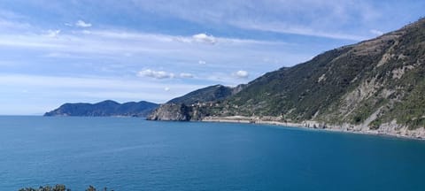 Nearby landmark, Natural landscape
