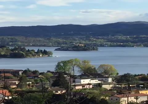 Lake view