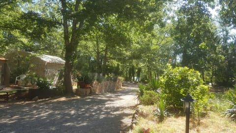 Garden, Garden view