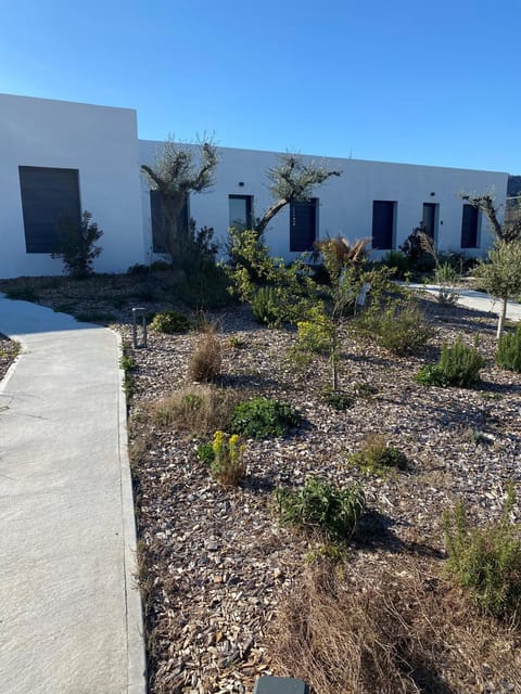 Property building, Garden view