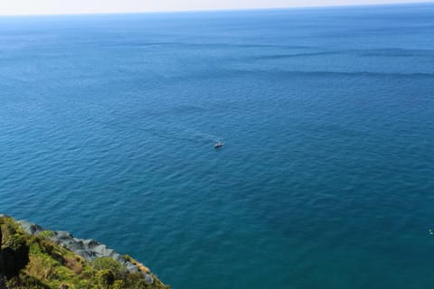 Nearby landmark, Neighbourhood, Beach