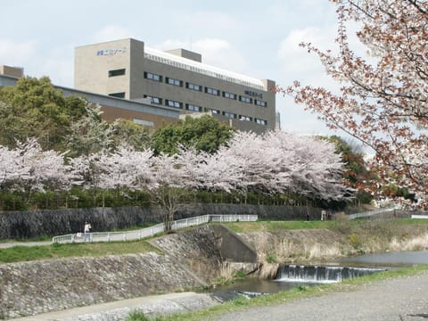 Property building, Spring