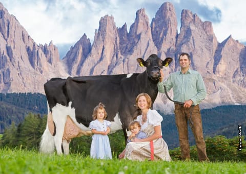 Natural landscape, Animals, Mountain view, children