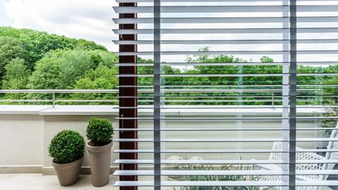 Balcony/Terrace, Garden view