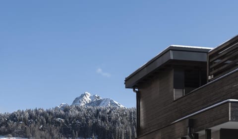 Natural landscape, Winter, Skiing, Mountain view