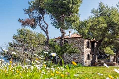 Property building, Natural landscape