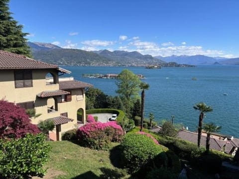 Lake view