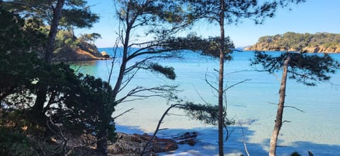 Nearby landmark, Natural landscape