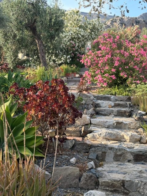 Casa Anita - La Almona Chica Country House in Valle del Guadalhorce