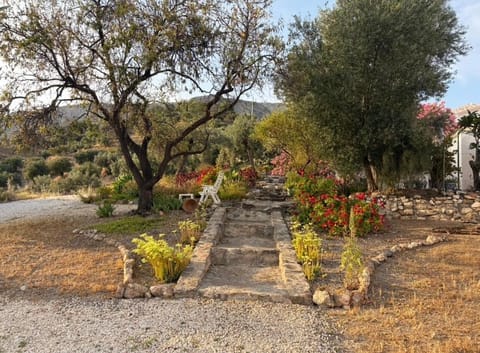 Casa Anita - La Almona Chica Country House in Valle del Guadalhorce
