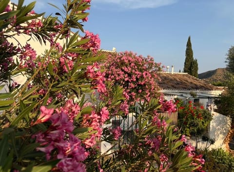 Casa Anita - La Almona Chica Country House in Valle del Guadalhorce