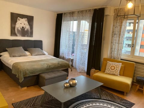 Appartement 1,5 pces Apartment in Fribourg