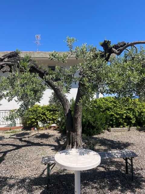 Appartamento Nena Apartment in Laigueglia