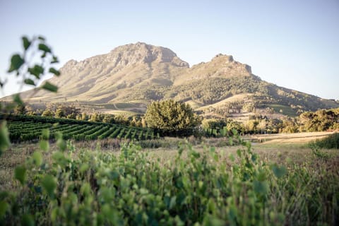 Mountain view, Mountain view