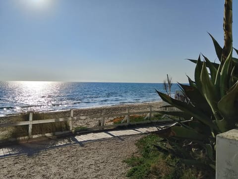 Nearby landmark, Day, Natural landscape, Beach