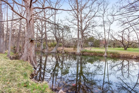River view