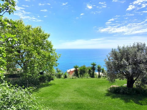 Natural landscape, Sea view
