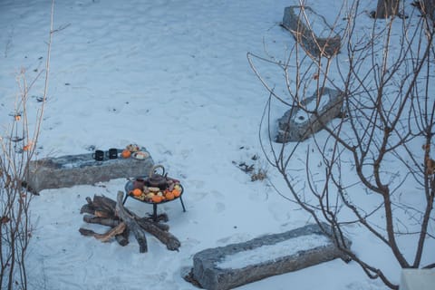 Natural landscape, Winter, Food and drinks