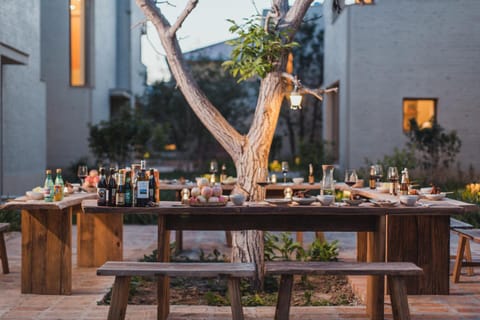 Garden, Food and drinks, Food, Alcoholic drinks