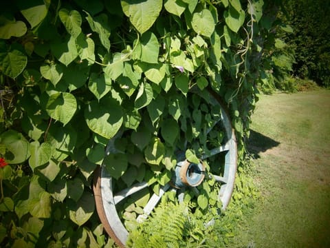 Day, Summer, Decorative detail, On site